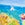 Sporti Seaside Impression Micro Back One Piece Swimsuit (26-40)