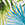 Sporti Palm Royale Moderate Printed Sweetheart One Piece Swimsuit
