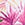 Sporti Plus Size Palm Royale Moderate Printed Sweetheart One Piece Swimsuit