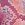 Sporti X Gretchen Walsh Desert Python Jammer Swimsuit (26-40)